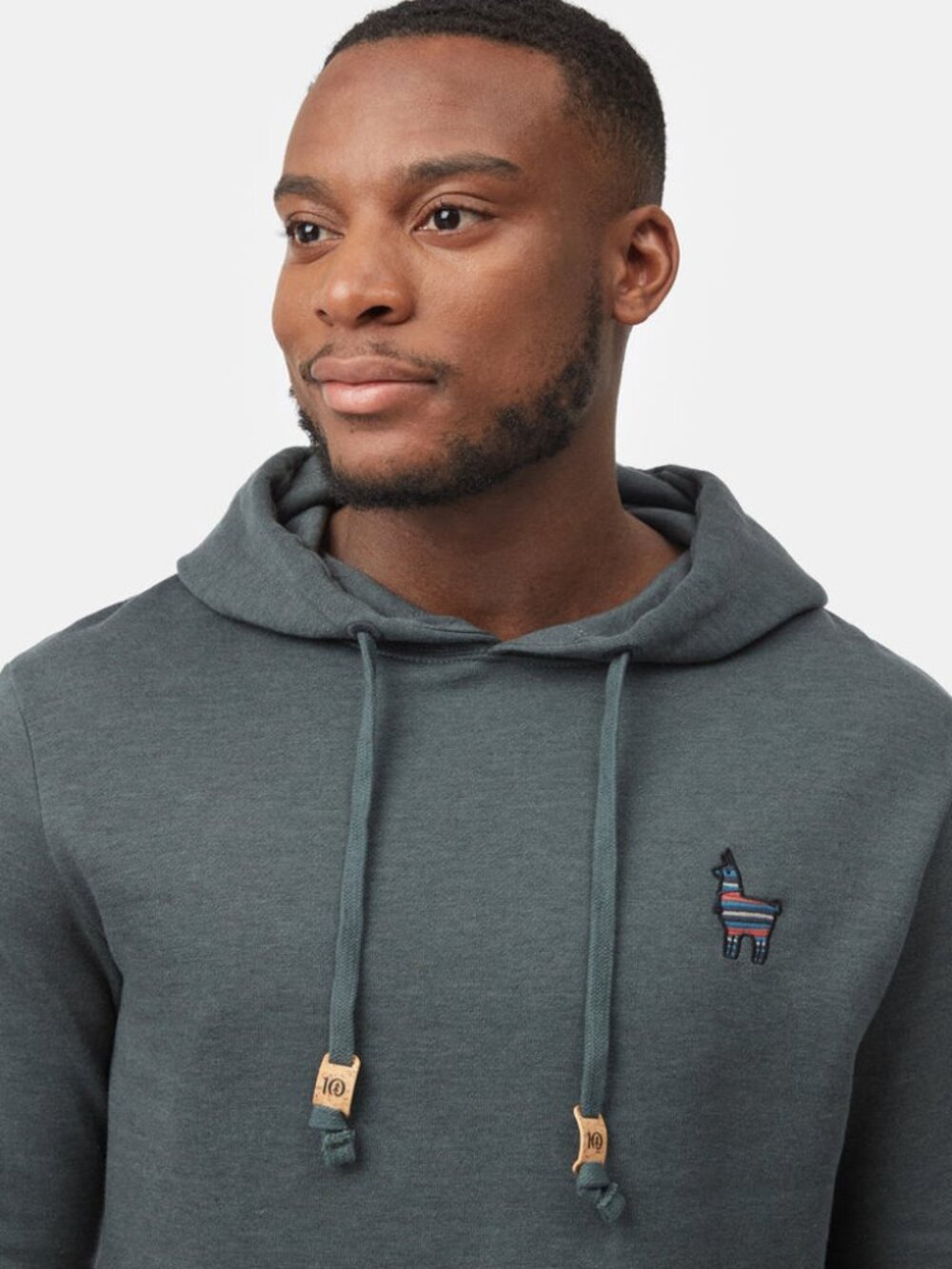 tentree - Peru Embroidered Llama Hoodie Urban Green (Medium)